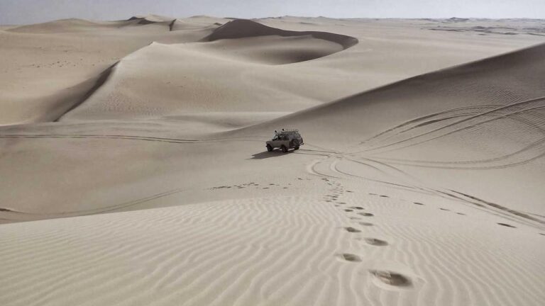 How To Withdraw Your Money From Cricbet99 Wallet?