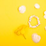 Reddyanna Pro Review: Boost Your Business Efficiency with Innovative Solutions